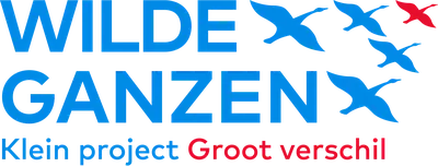 Wilde Ganzen